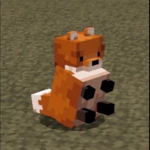 Meet your Posher, Eli